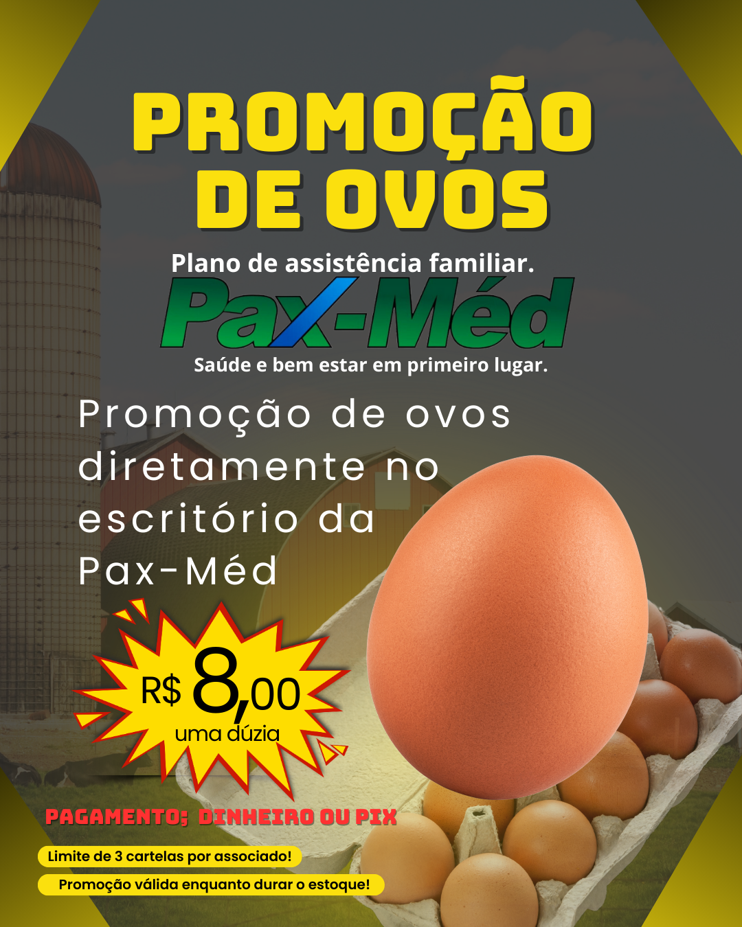 Promoção de ovos (1)